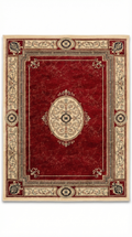Red Aubusson Oval Medallion Rug — 160x230cm